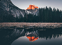 世界杯直播入口合集-锡安名不虚传兑现身价，队友：他的表现在预料当中